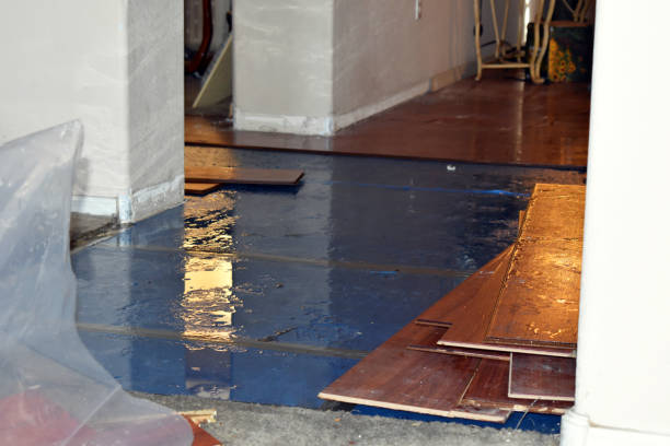 Professional Sewage Cleanup technician working in Highlands, TX